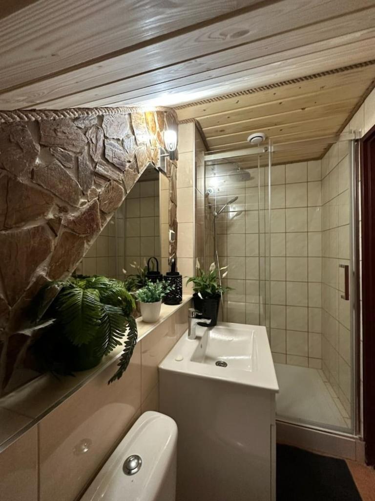 Letniskowe Pod Brzozami Stella Chalet *